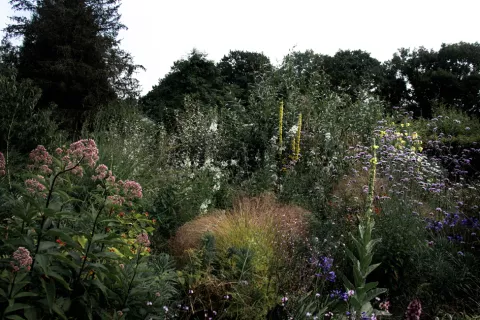 King John's Nursery and Garden in Etchingham
