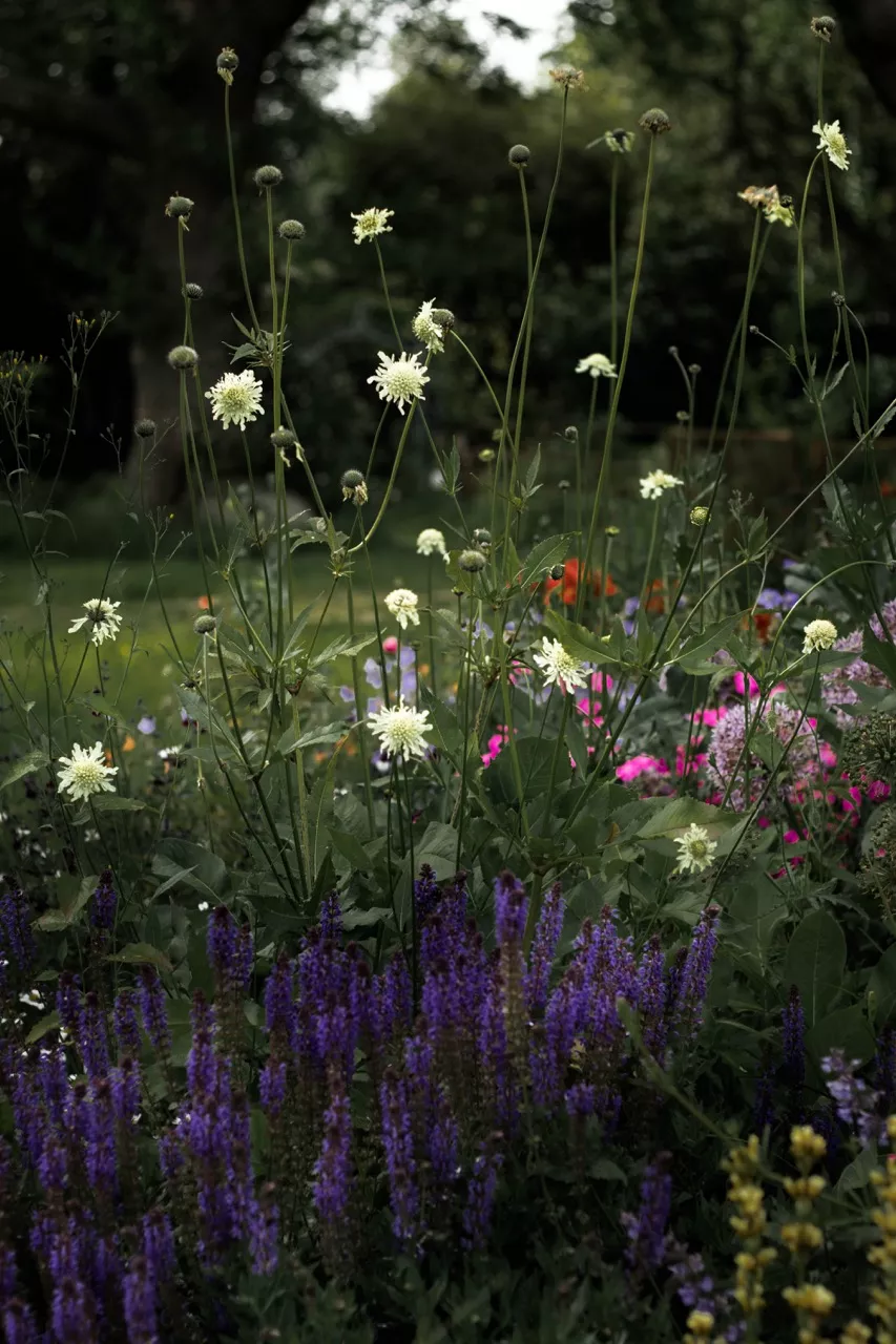 King Johns Nursery Garden