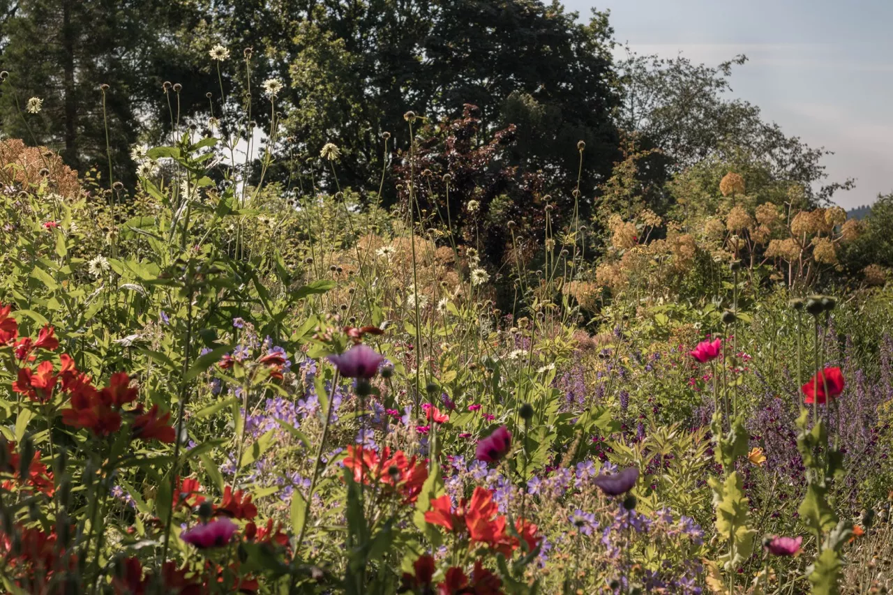 King Johns Nursery Garden